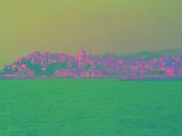 IMGP2639 edited (Medium)